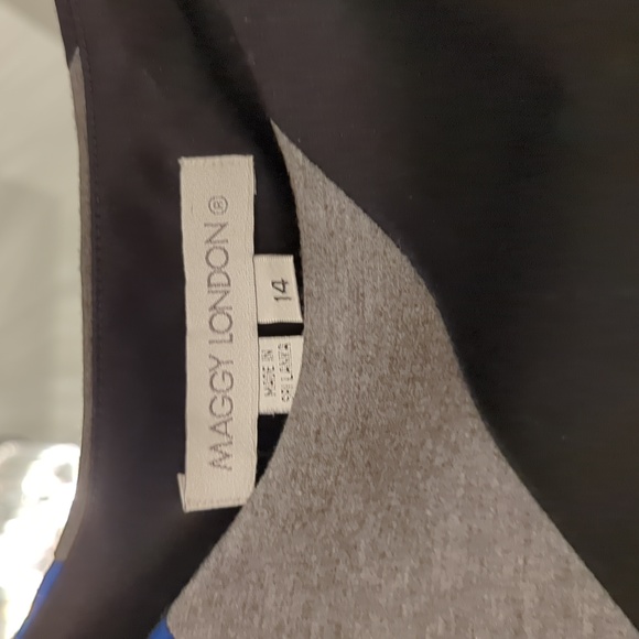 Maggy London Color Block Dress - Picture 4 of 6